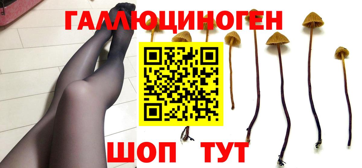 Псилоцибиновые грибы мухоморы  Вход с VPN  Кимовск 